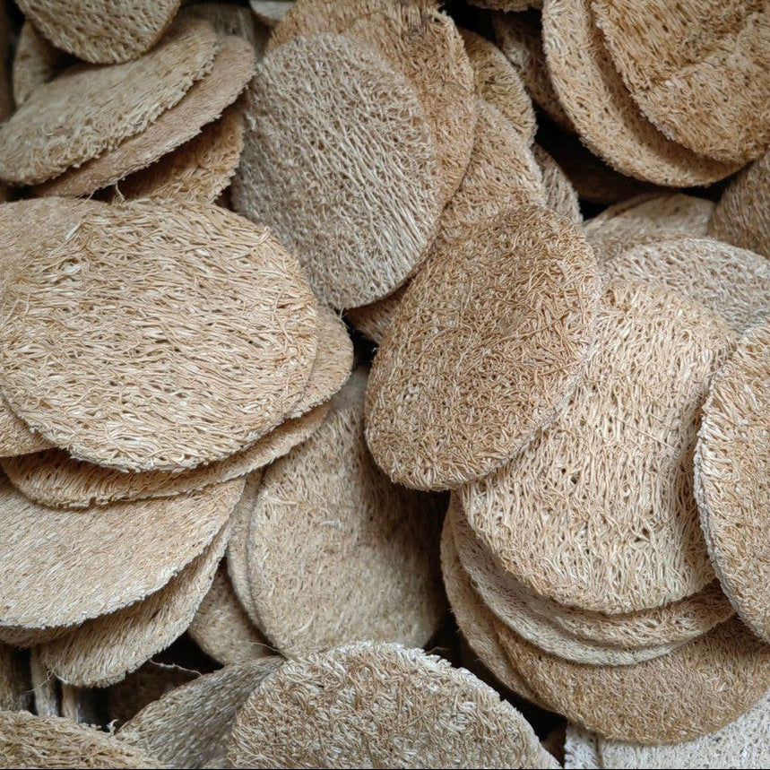 Exfoliating Luffa Disk
