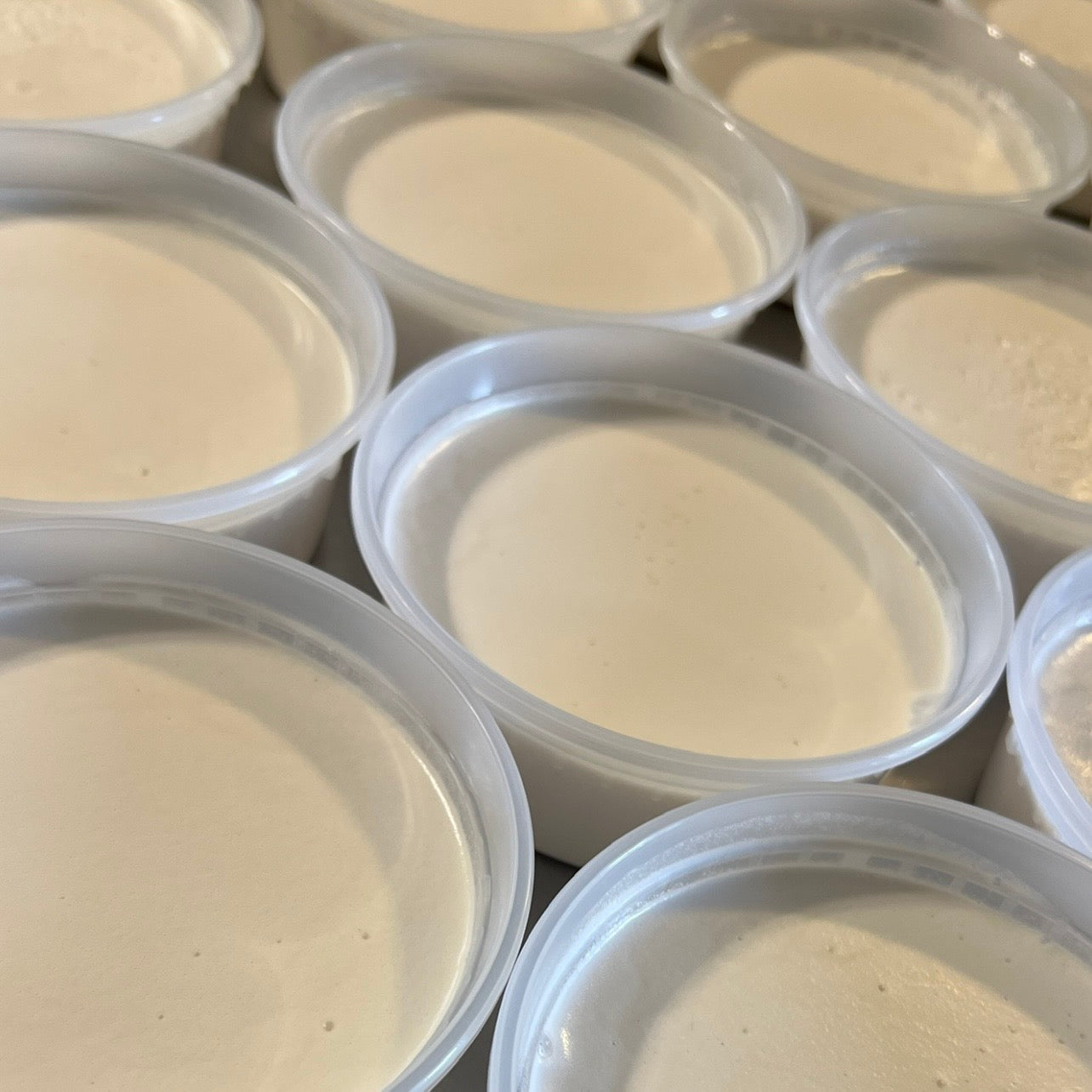 Cactus & Sea Salt Seamoss Buttercream