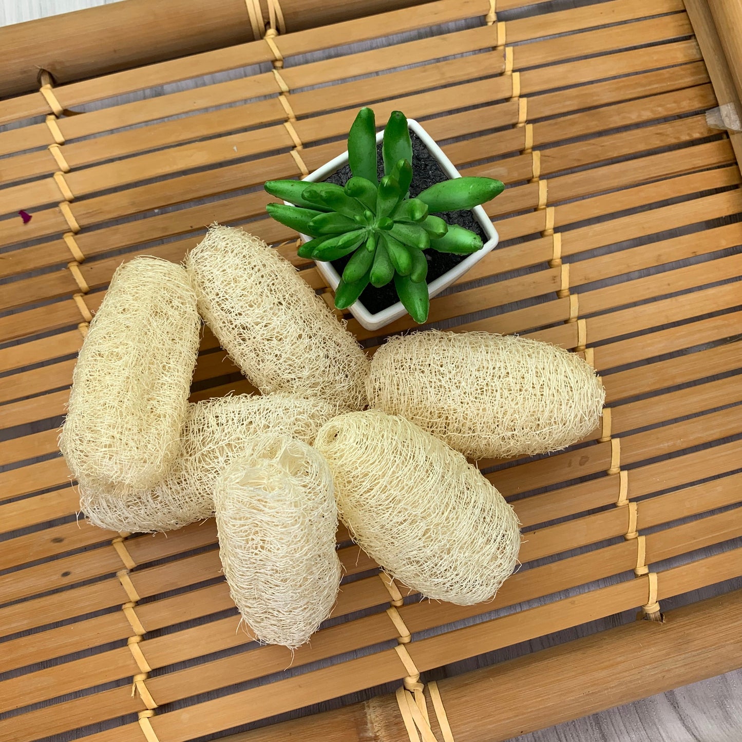 Loofah