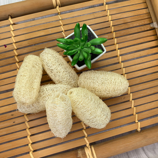 Loofah