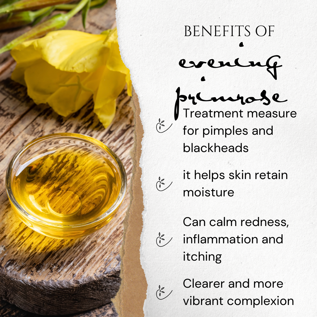 Turmeric Face Serum | Antioxidant Face Serum | Cream & Coco Skincare